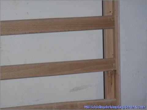 Spuren von Bettwanzen finden sich am Holzträger vom Bett.